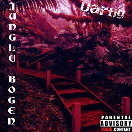 Album cover of Jungle Bogen