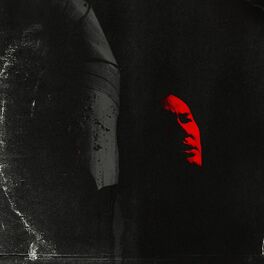 Album cover of vigorish