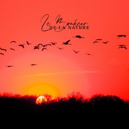 Album cover of Le Bonheur de la Nature