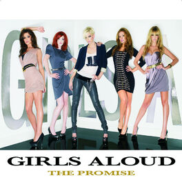 Album cover of The Promise