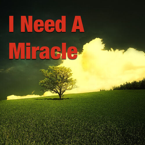 Various Artists I Need A Miracle lyrics and songs Deezer