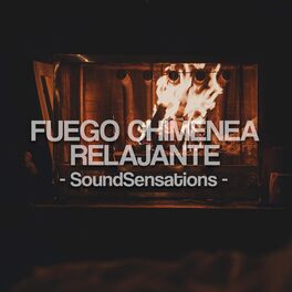 Album cover of Fuego Chimenea Relajante