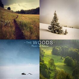 Album cover of The Woods (Nature Sounds, Birds, Rain, Thunderstorm, Brook, Forest, Ocean Waves, Crickets, Peaceful, Lullaby, Sleep, Sleeping, Sou