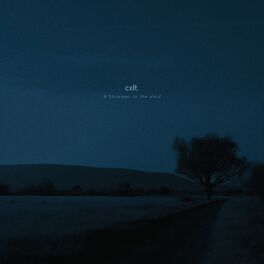 Album cover of A Shimmer in the Void