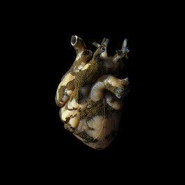 Album cover of Uranium Heart