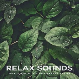 Album cover of Relax Sounds