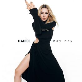 Album cover of Hay Hay