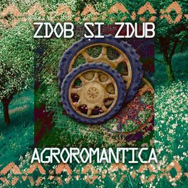Album cover of Agroromantica