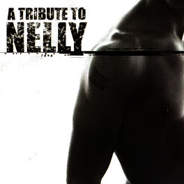 Album cover of A Tribute To Nelly