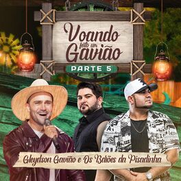 Album cover of Voando Feito Um Gavião, Pt. 5