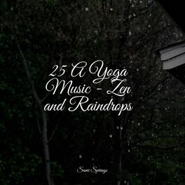 Album cover of 25 A Yoga Music - Zen and Raindrops