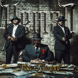 Album cover of Mister Kriminell