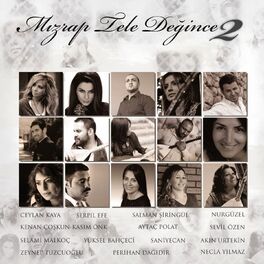 Album cover of Mızrap Tele Değince, Vol. 2