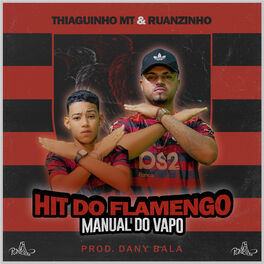 Album cover of Hit do Flamengo - Manual do Vapo