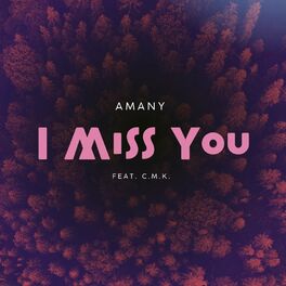 Album cover of I Miss You (feat. CMK)