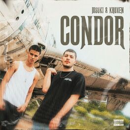 Album cover of ConDor
