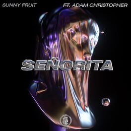Album cover of Señorita (feat. Adam Christopher)