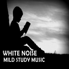 Album cover of White Noise: Mild Study Music