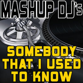 Album cover of Somebody That I Used to Know (Remix Tools for Mash-Ups)