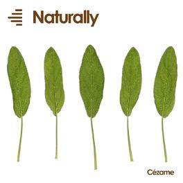 Album cover of Naturally