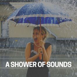 Album cover of A Shower of Sounds