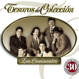 Album cover of Tesoros de Colección