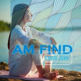 Album cover of Am Find