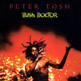 Album cover of Bush Doctor