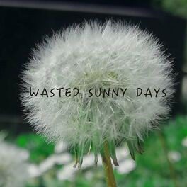 Album cover of Wasted Sunny Days