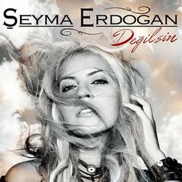 Album cover of Değilsin