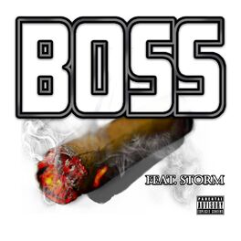 Album cover of Boss
