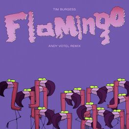 Album cover of Flamingo (Andy Votel Remix)