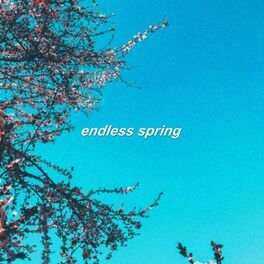 Album cover of Endless Spring