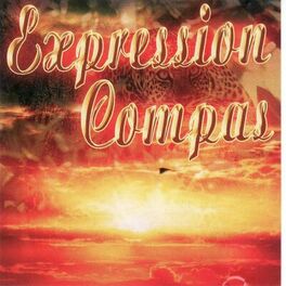 Album cover of Expression compas