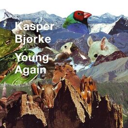 Album cover of Young Again