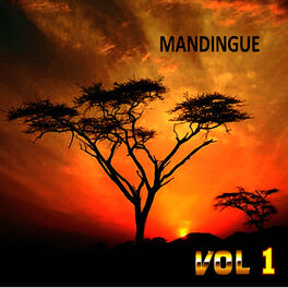 Album cover of Mandingue , Vol. 1