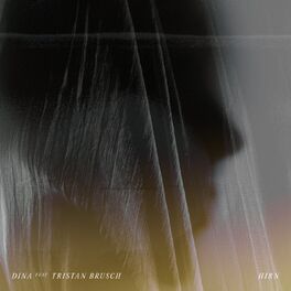 Album cover of Hirn