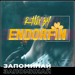 Album cover of Запоминай (Remix by ENDORFIN)