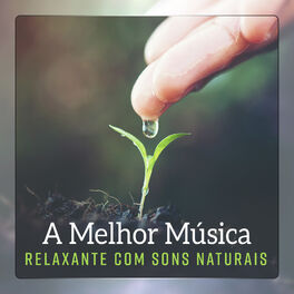 Album cover of A Melhor Música Relaxante com Sons Naturais, Alívio de Estresse, Terapia de Massagem Zen, Música de Yoga, Meditação de Atenção Com
