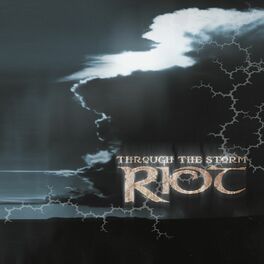 Album cover of Through the Storm (Bonus Edition)