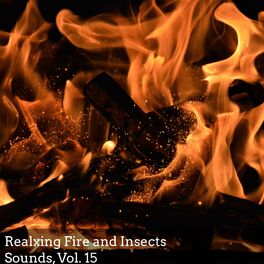 Album cover of Realxing Fire and Insects Sounds, Vol. 15