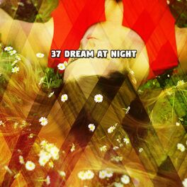 Album cover of 37 Dream At Night
