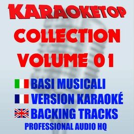 Album cover of Karaoketop Collection, Vol. 01