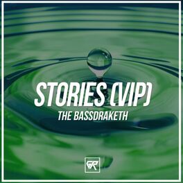 Album cover of Stories (VIP Remix)