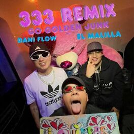 Album cover of 333 (Remix)