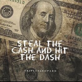 Album cover of steal the cash and hit the dash