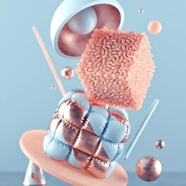 Album cover of I Wish My Brain Was Still Working