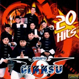 Album cover of 20 Hits