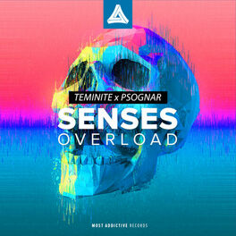 Album cover of Senses Overload