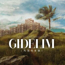 Album cover of Gidelim
